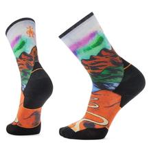 Trail Run Targeted Cushion Singletrack Print Crew Socks by Smartwool in Harrisonburg VA