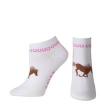 Women's Spirit No Show Sock by Ariat in Durham NC