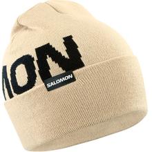 Hermitage beanie by Salomon