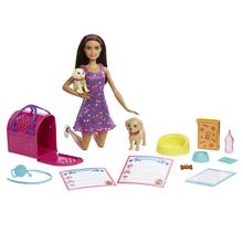 Barbie Doll And Accessories Pup Adoption Playset With Doll, 2 Puppies And Color-Change by Mattel