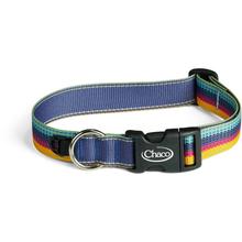 Dog Collar by Chaco in Woodbury TN