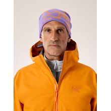 Bird Head Toque by Arc'teryx