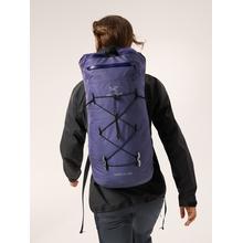 Alpha FL 20 Backpack by Arc'teryx