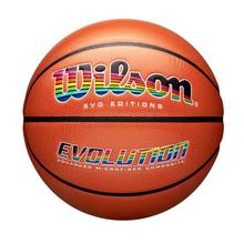 Evo*Edition Technicolor Basketball by Wilson