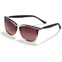 La Scala Fade Sunglasses by Brighton