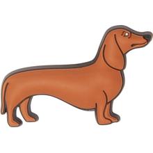 Dachshund