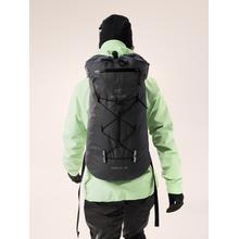 Alpha FL 30 Backpack by Arc'teryx