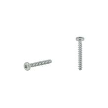 Screw Self Tapping Zinc Plated