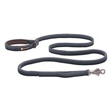 Roamer Leash by Ruffwear