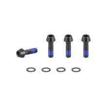 2021 E-Caliber 29 Chainstay Bridge M6x1x20mm Bolts