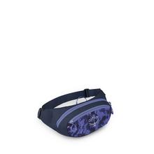 Daylite Waist Pack by Osprey Packs in Harrisonburg VA