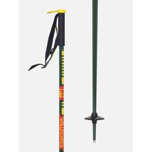 Wallischtick Ski Poles 2026 by LINE Skis