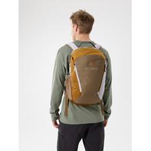 BEAMS Mantis 26 Backpack by Arc'teryx