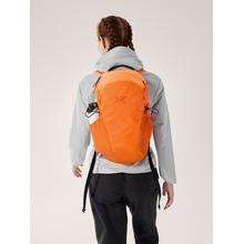 Mantis 16 Backpack by Arc'teryx