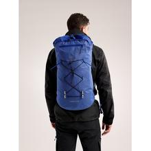 Alpha FL 30 Backpack by Arc'teryx in Lewis Center OH
