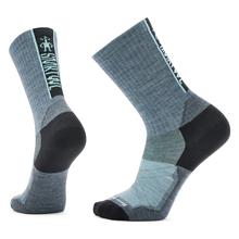 Bike Zero Cushion Ribbed Crew Socks by Smartwool