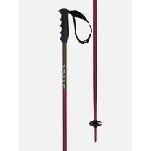 Phantastick Jr Poles by Volkl