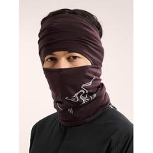 Norvan Balaclava by Arc'teryx in Concord NC