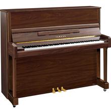 B3 PAW by Yamaha Music in Bellevue KY