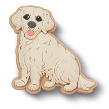 Golden Retriever Puppy by Crocs