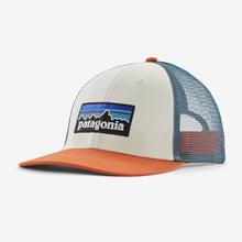 P-6 Logo LoPro Trucker Hat by Patagonia in Waitsfield VT