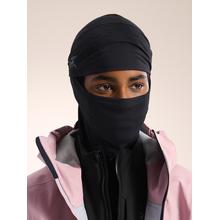 Rho Balaclava by Arc'teryx