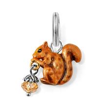 Squirrel Charm