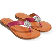 Aster Flower Thongs by Brighton in Lakeville MA