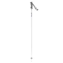 SMU MJ RE-ENTRY POLE by SCOTT Sports in Framingham MA