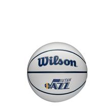 NBA Team Autograph Mini Basketball by Wilson in Littleton CO