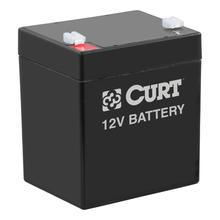 CURT Breakaway Battery by LIPPERT