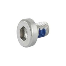 2023 Fuel EXe 29 M3x0.5x6mm Battery End Cap Fastener