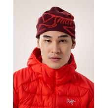Bird Head Toque by Arc'teryx