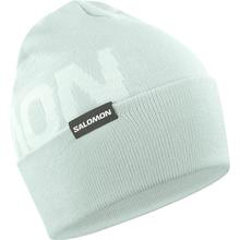 Hermitage beanie by Salomon