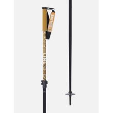 Paintbrush Poles 2025 by LINE Skis