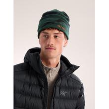 Grotto Toque by Arc'teryx in Indianapolis IN