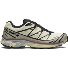 Xt-6 gore-tex by Salomon