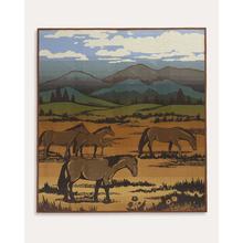 Shadow Mountain Blanket by Pendleton