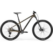 Big Trail 500 - Gold