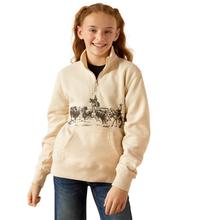 Pasture 1/4 Zip Sweatshirt by Ariat in Waxahachie TX