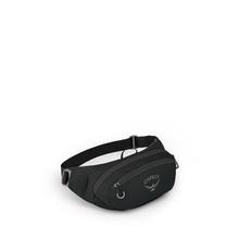 Daylite Waist Pack by Osprey Packs in Lexington VA