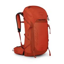 Talon Pro 30 by Osprey Packs