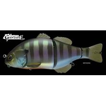 Gantarel Rt Carp by Shimano Fishing