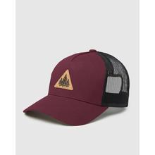 Pine Trio Altitude Hat by Tentree