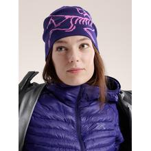 Lightweight Bird Head Toque by Arc'teryx