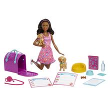 Barbie Doll And Accessories Pup Adoption Playset With Doll, 2 Puppies And Color-Change by Mattel