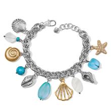 Calypso Shell Charm Bracelet