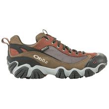 Men's Firebrand II Low Waterproof Hiking Shoe by Oboz in Decatur AL