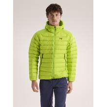 Cerium Hoody Men's by Arc'teryx