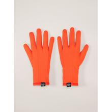 Rho Glove by Arc'teryx